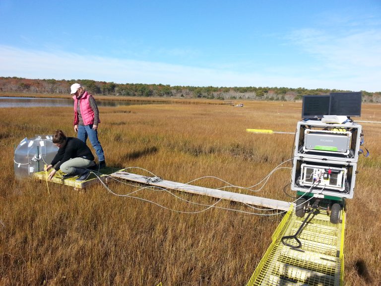 As temperatures rise, low marsh emits more carbon gas than high marsh