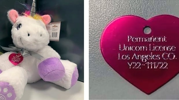 L.A. authorities will let girl care for unicorn if she meets 5 conditions — and if she finds one