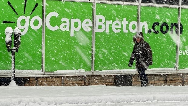 Winter storm in Maritimes forces school closures, knocks out power to thousands