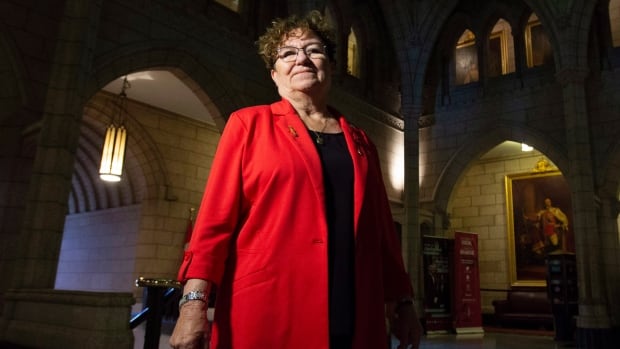 Bill on cultural safety in health coming, Quebec says, following forced sterilizations study