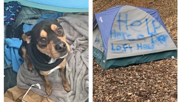 ‘Help. There’s a dog left here:’ Cry for help scrawled on tent in east London