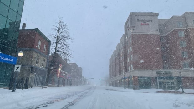 Maritimes winter storm shutters some schools, leaves thousands without power