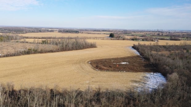 Consultations showed ‘broad opposition’ to Greenbelt development. The Ford government went ahead anyway