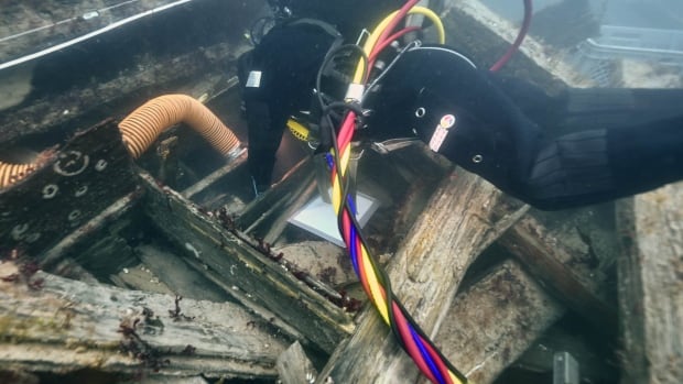 ‘Hallowed space’: Divers pull 275 artifacts from 2022 excavation of Franklin ship