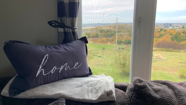 N.L. real estate agents, lawyers say they’re facing a ‘tsunami’ of Crown Lands disputes