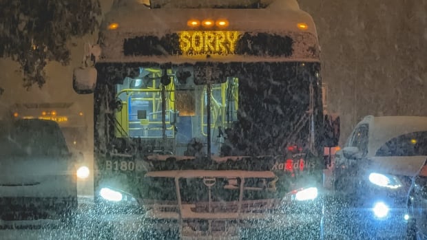 Budgets, bridges and tires — why Metro Vancouver seems to struggle with 15 cm of snow