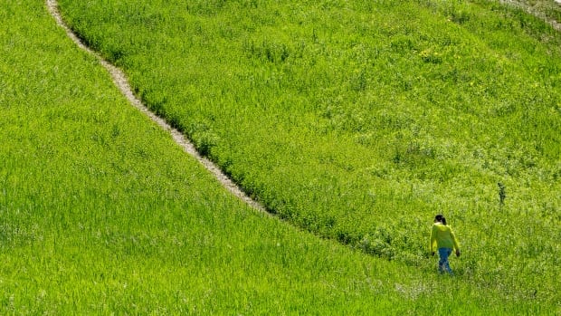 Proposed changes to Greenbelt risk ‘irreversible harm,’ Parks Canada says