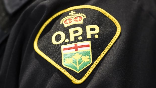 Plane crashes onto Highway 401 median, badly injuring 2 people