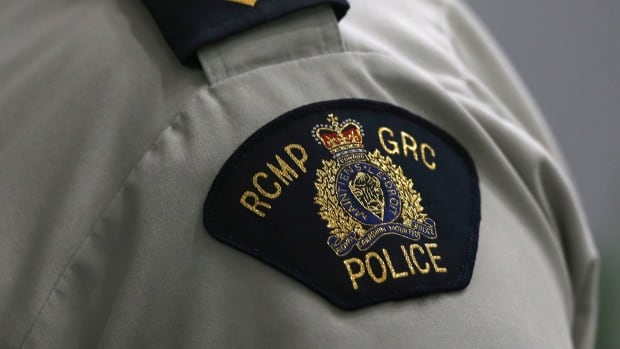 Federal government awarded RCMP contract to firm with ties to China