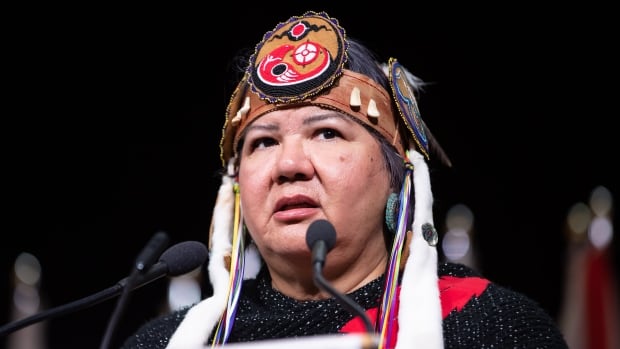 First Nations chief sues AFN, national chief over corruption allegations