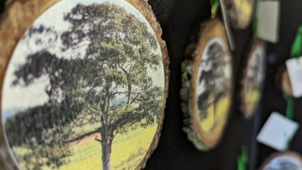 How a piece of an iconic N.S. tree brought down by Fiona became Christmas ornaments