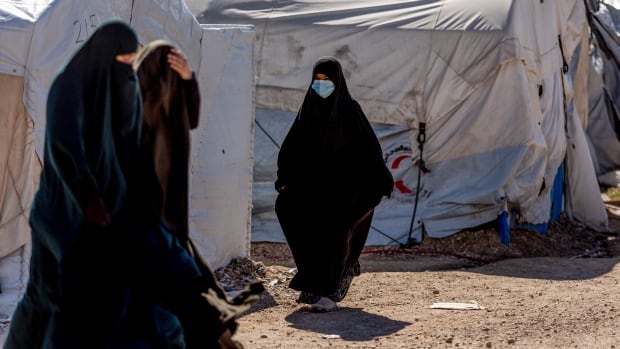 Feds eyeing repatriation of 19 Canadian women and children held in Syria: document