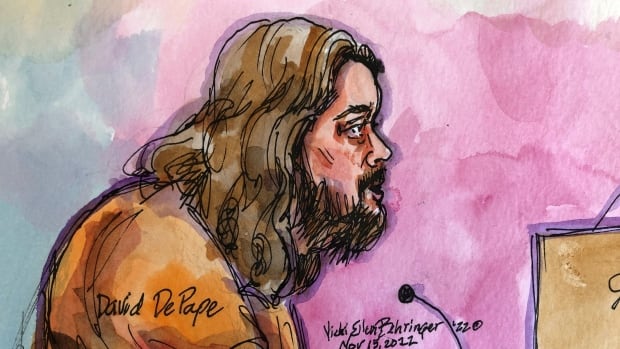 Canadian suspect in Paul Pelosi attack pleads not guilty to multiple charges