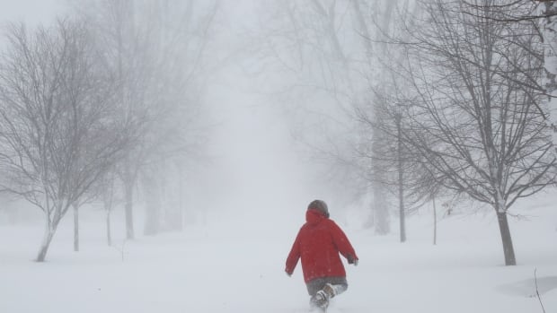 U.S. winter storm claims at least 48 lives, over half in western New York