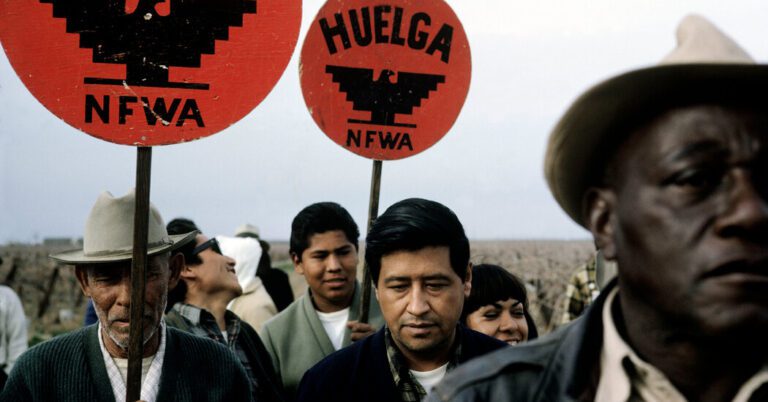 Can the United Farm Workers of California Rise Again?