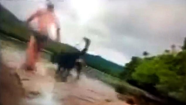 Alister MacPhee, 37, recorded himself in February walking into the water at a remote boat ramp in Cooktown, north Queensland and being bitten by a croc which then killed his dog