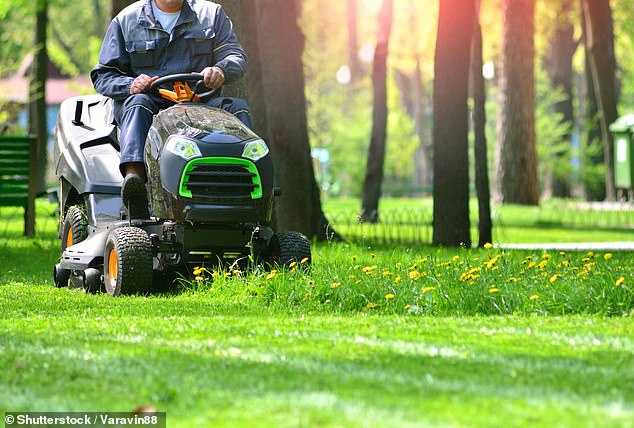 The toddler was hit and killed in a tragic accident involving a ride-on mower (stock image)