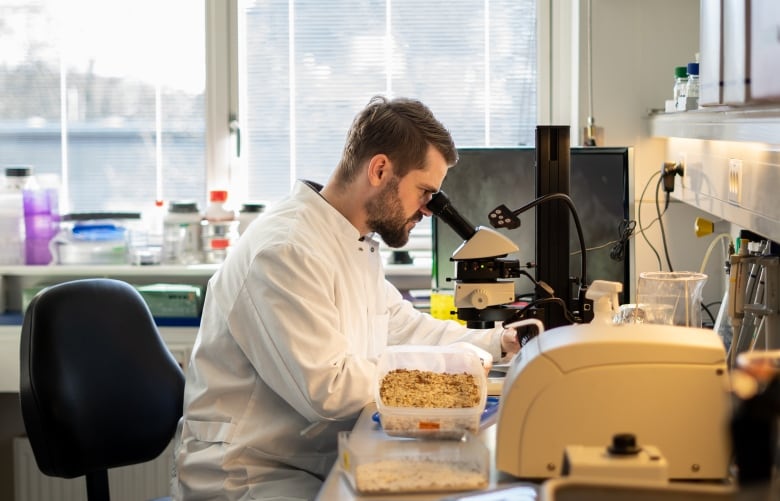 A man in a white coat looking into a microscope. 