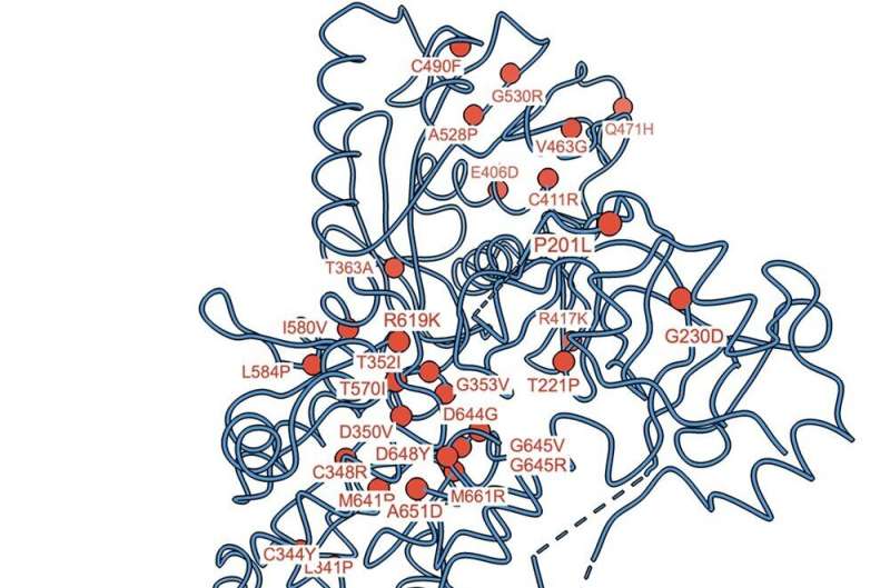 Cryo-electron microscopy captures structure of a protein pump