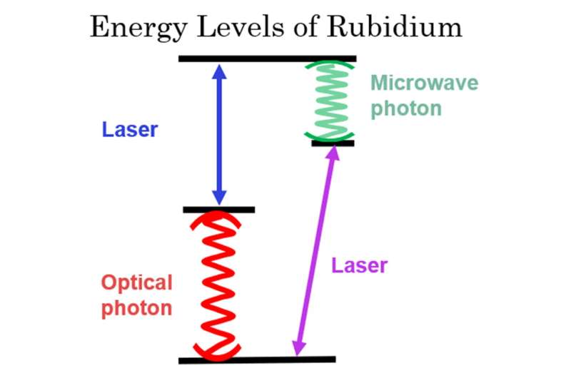 New experiment translates quantum information between technologies in an important step for the quantum internet