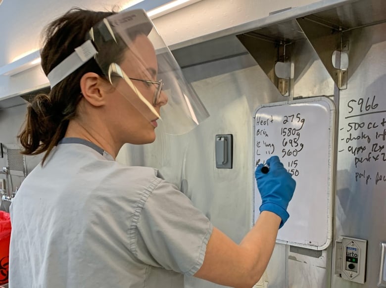 A woman, wearing medical scrubs and a face shield, writes on a white board in a lab room.