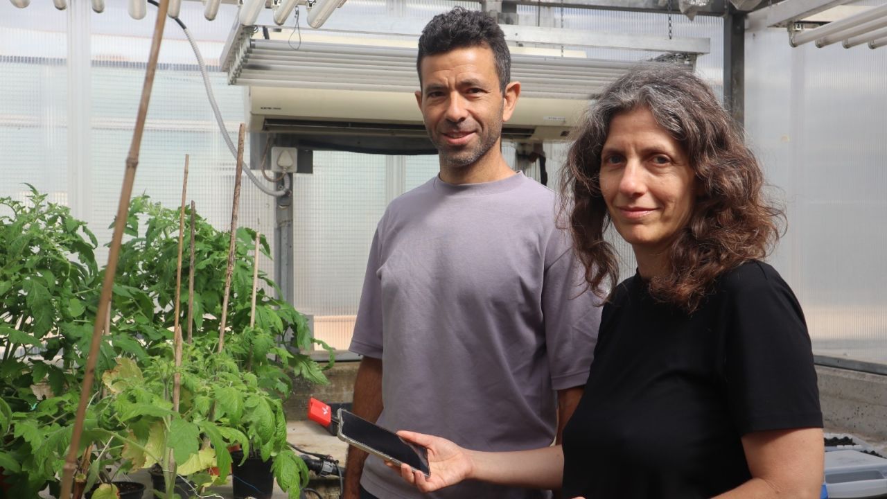 The lead authors of the study were Yossi Yovel, left, and Lilach Hadany. Both are professors at the University of Tel Aviv. 