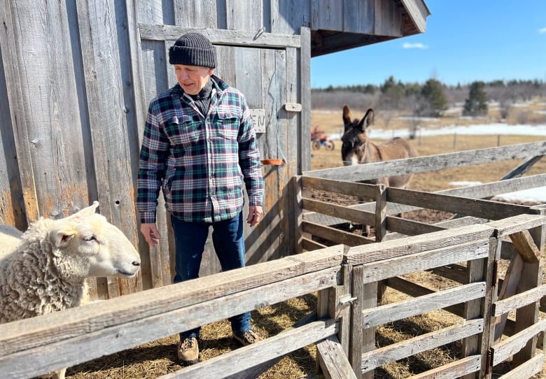 A man stands outside a barn, with a sheep and donkey nearby.