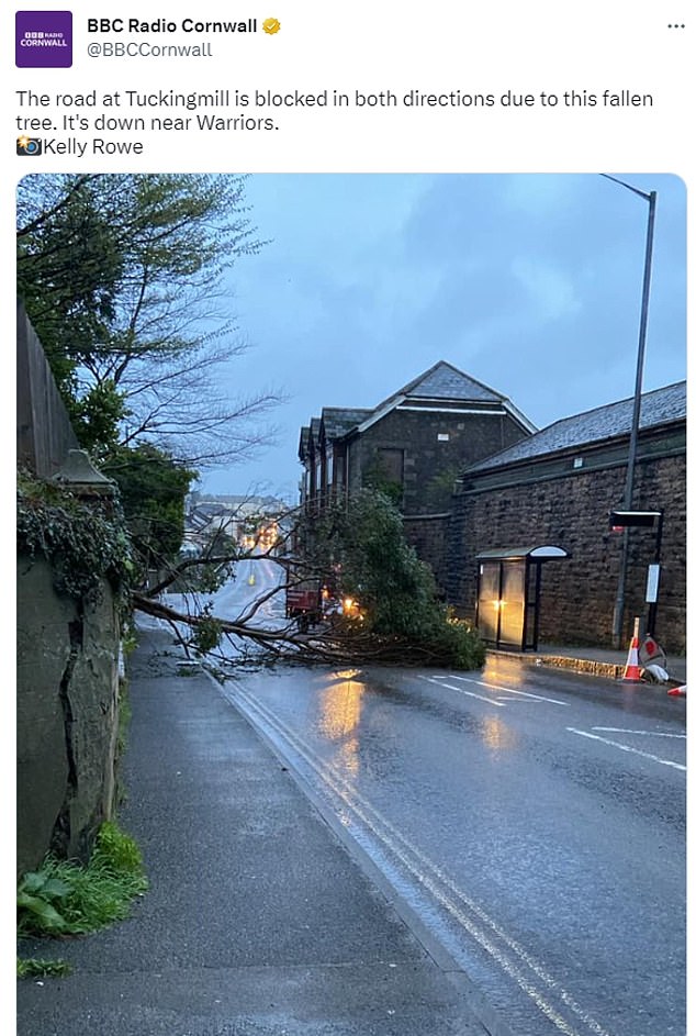 Gusts of up to 60mph felled trees which blocked roads, causing travel chaos.