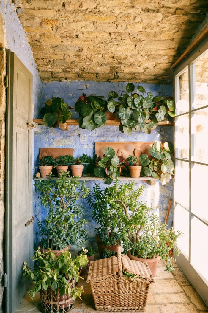 The plant-filled anteroom adjacent to the lawn