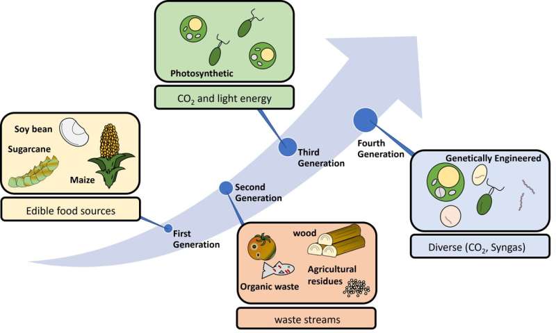 Harnessing nature to promote planetary sustainability