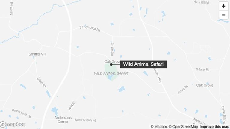 Tiger ‘unaccounted’ for at Georgia safari park after storms, police say