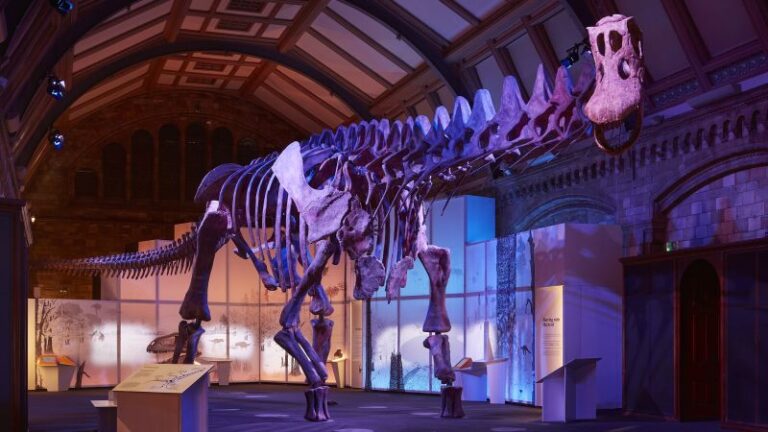 London’s Natural History Museum is getting a visit from a giant dinosaur