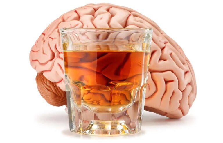 Unraveling Alcohol’s Grip on the Brain and the Drive To Drink