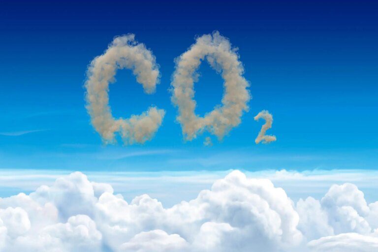 Equivalent to a Forest the Size of Germany – A New Process To Capture Carbon Dioxide