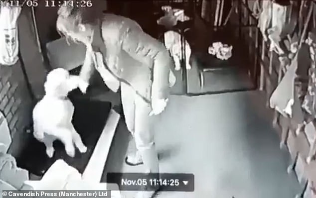 Dog sitter secretly filmed by her ex-husband hitting and kicking customers’ pets