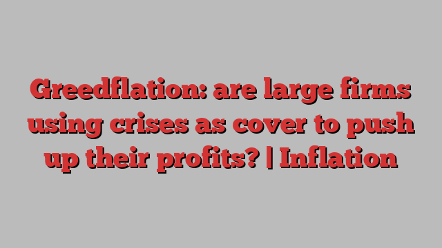 Greedflation: are large firms using crises as cover to push up their profits? | Inflation