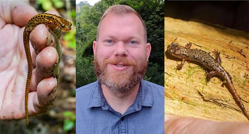 Hope for salamanders? Illinois study recalibrates climate change effects