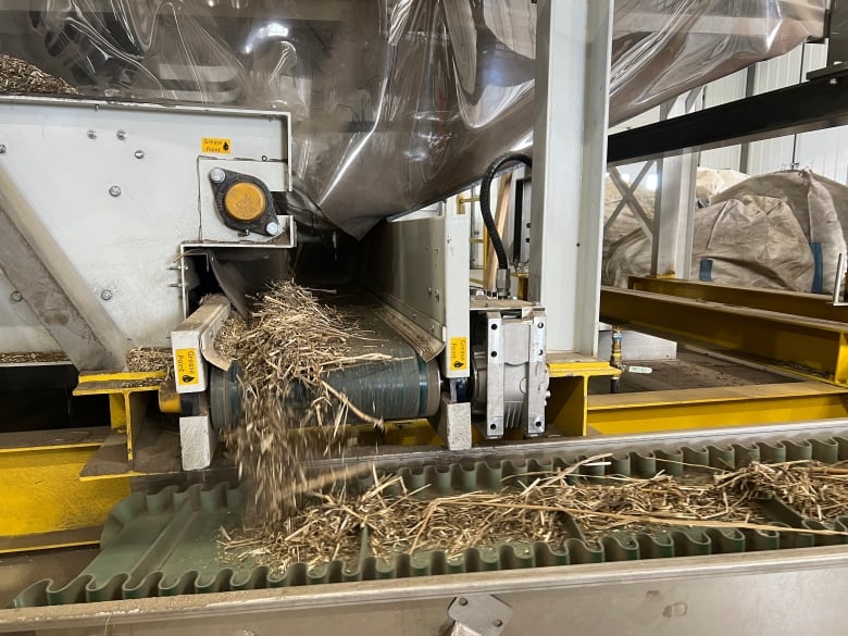 Machine breaks down hemp. 