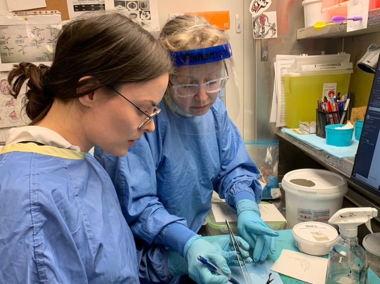 Two women wearing blue surgical gowns and gloves sit in front of a lab table.