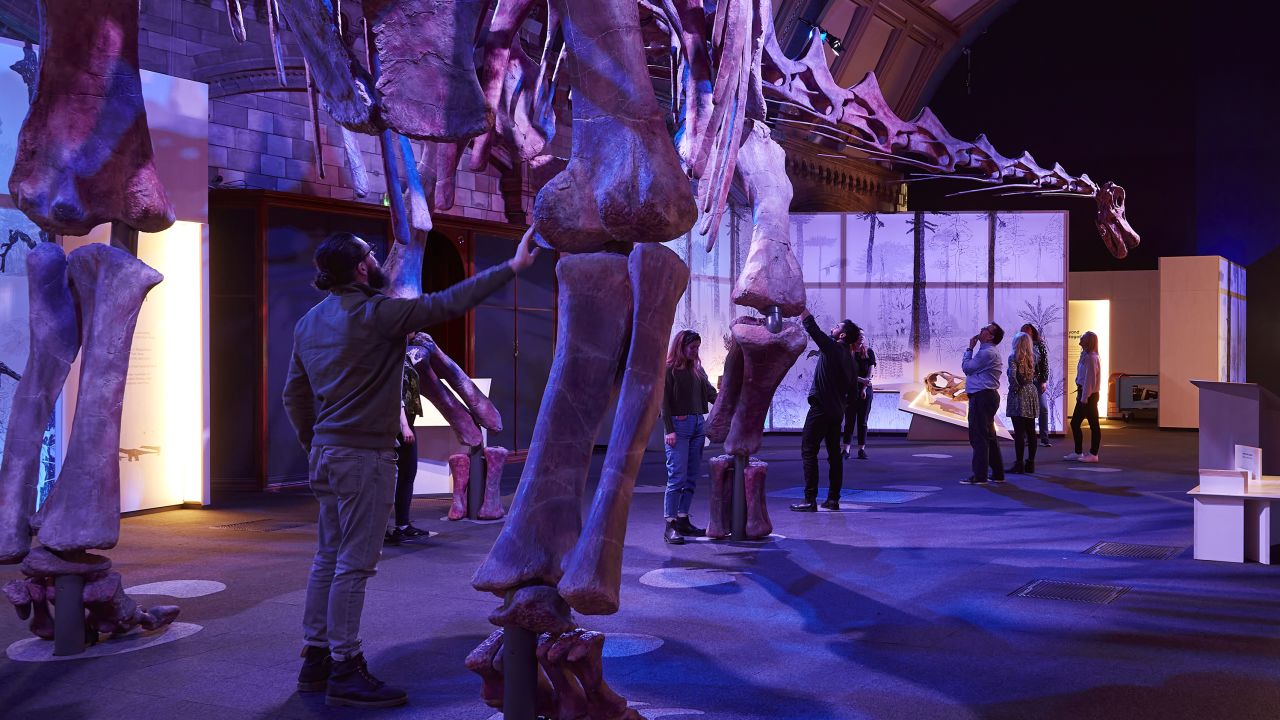 An early guest gets up close and personal with Patagotitan mayorum at the Natural History Museum. 