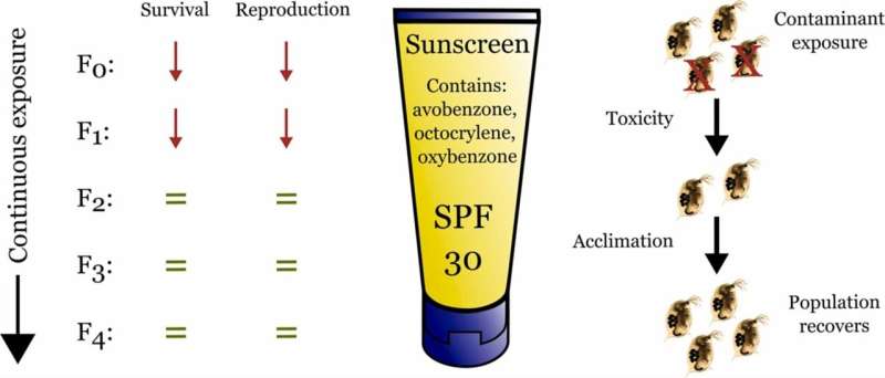 Long-term study shows water fleas adapt to sunscreen ingredients