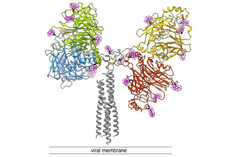 New targeting opportunities discovered against canine distemper virus