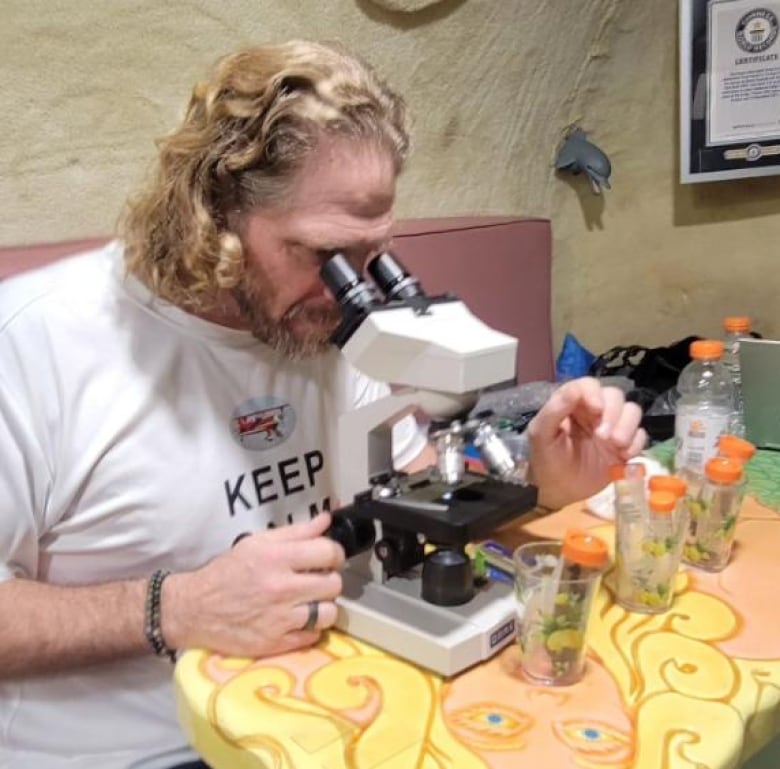 A man peers into a microscope at a table decorated to look like a mermaid.