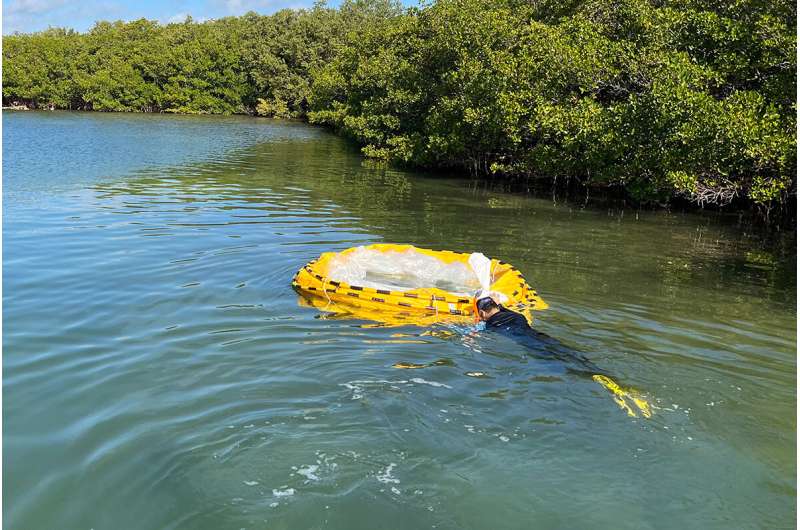 UCF uses 6-foot 'test tubes' to study red tide