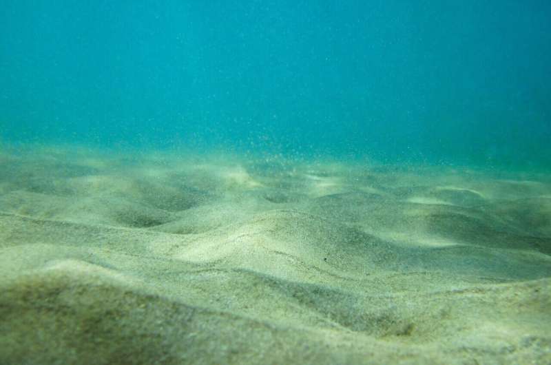 sea floor