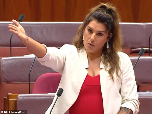 Senate president Sue Lines hits out after Lidia Thorpe, Hollie Hughes incident