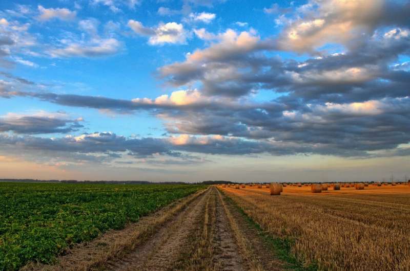 farmland