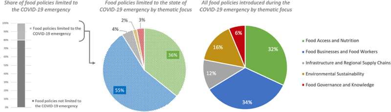 Study takes stock of pandemic food policy in New York