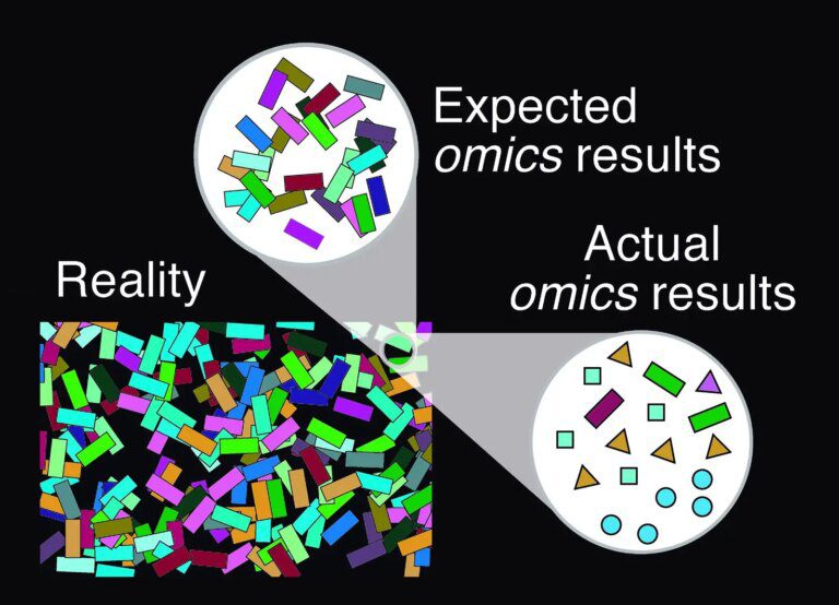 Current Microbiome Analyses May Mislead Scientists With False Species Detection