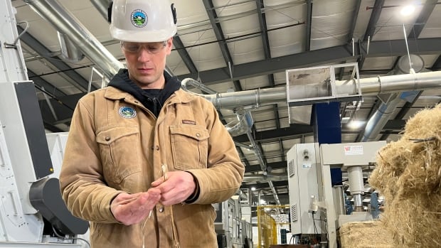 How an Alberta facility is using Ukrainian seeds to unlock hemp’s true potential